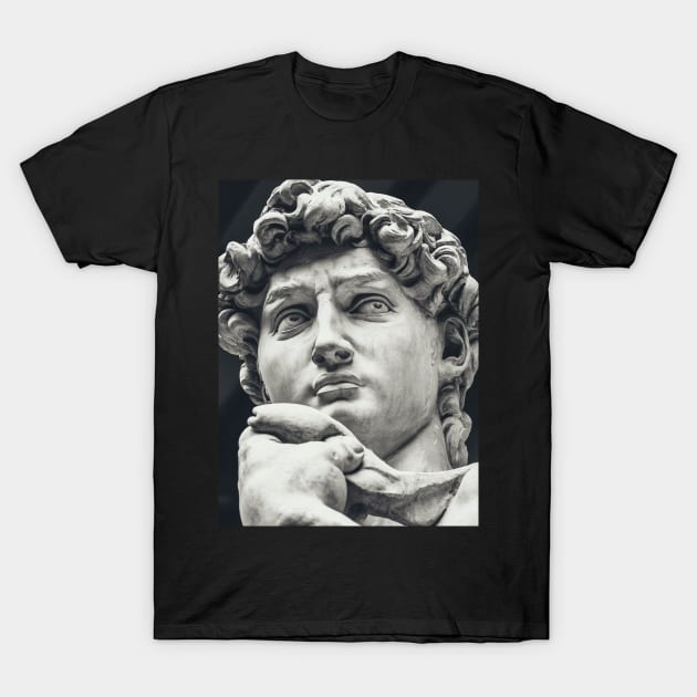 David by Michelangelo T-Shirt by V1adimir